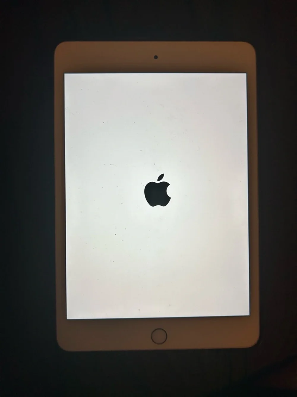 Apple iPad Mini - White Front with Black Logo
